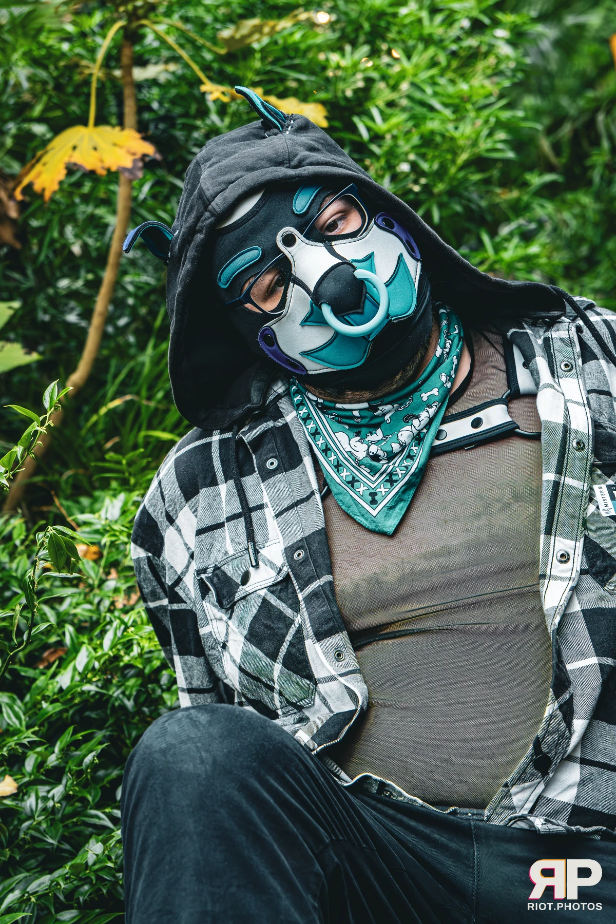 Apollo - furry & pup photography by Fluffy Riot - photo 5