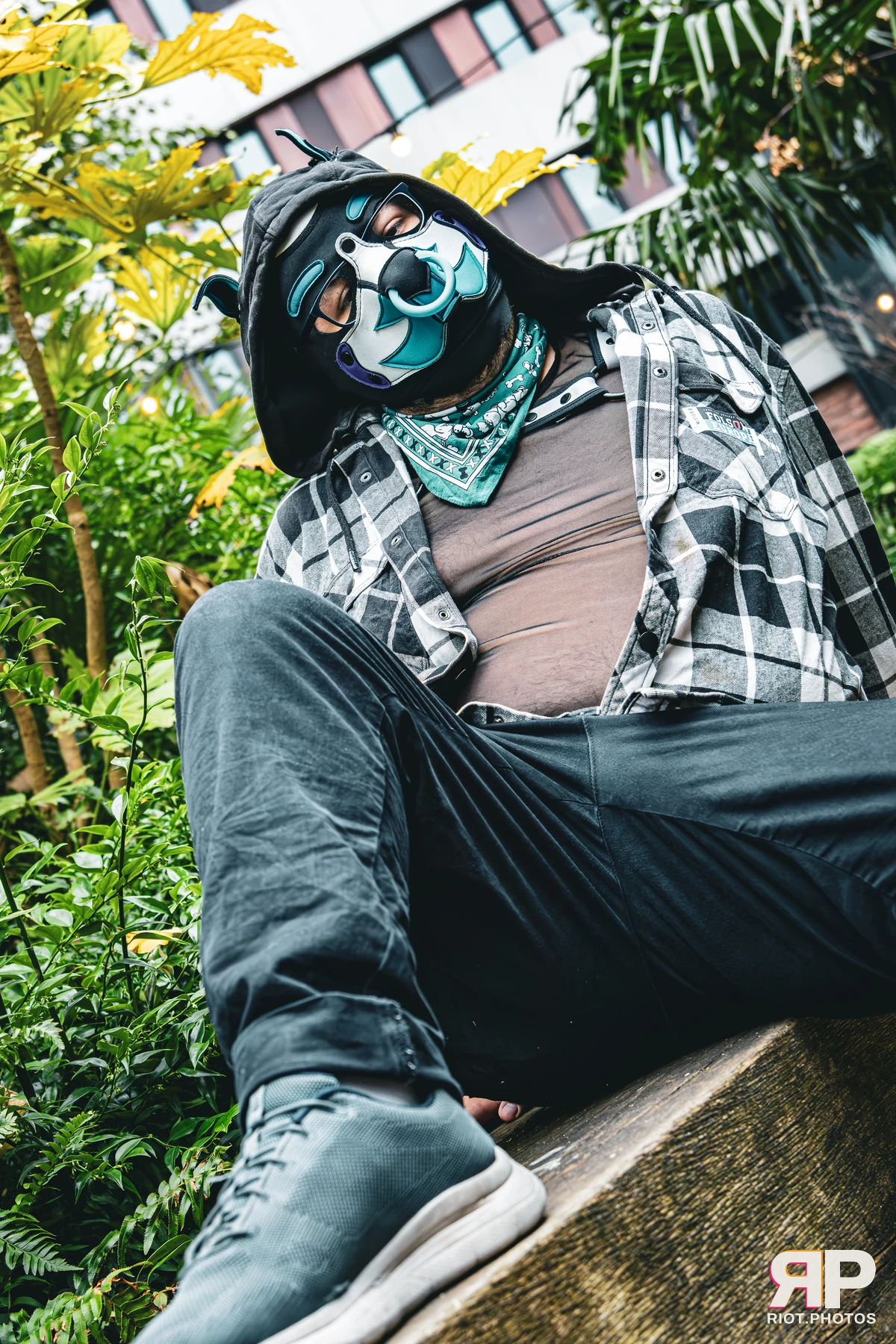 Apollo - furry & pup photography by Fluffy Riot - photo 3
