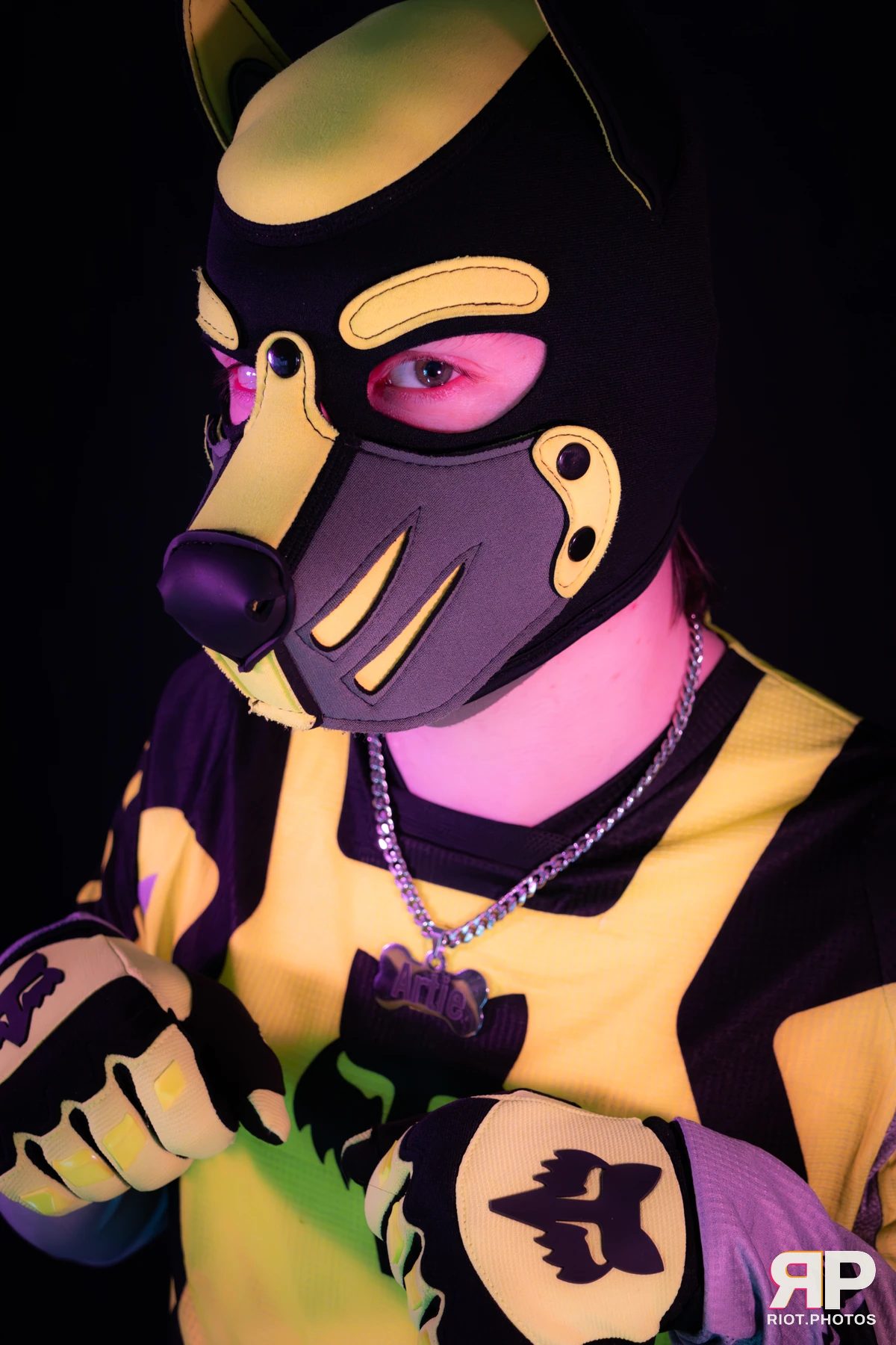 Artie — furry & pup photography by Fluffy Riot — photo 33