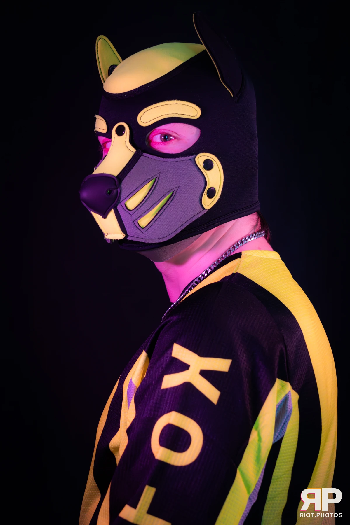 Artie — furry & pup photography by Fluffy Riot — photo 34