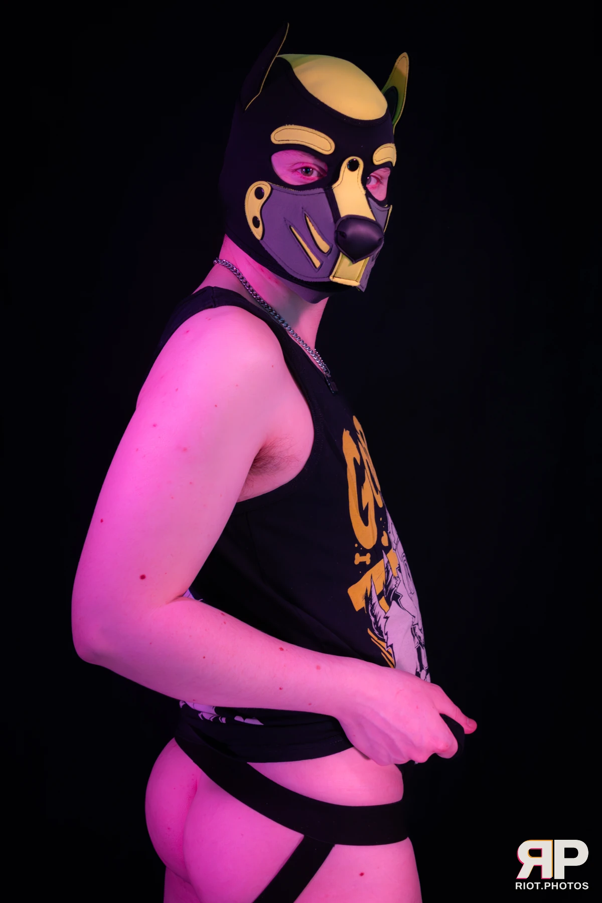 Artie — furry & pup photography by Fluffy Riot — photo 46
