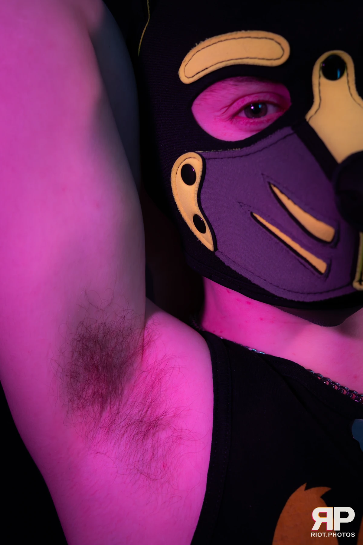 Artie — furry & pup photography by Fluffy Riot — photo 51