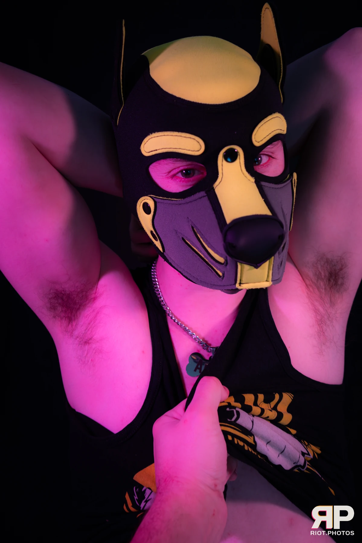 Artie — furry & pup photography by Fluffy Riot — photo 52