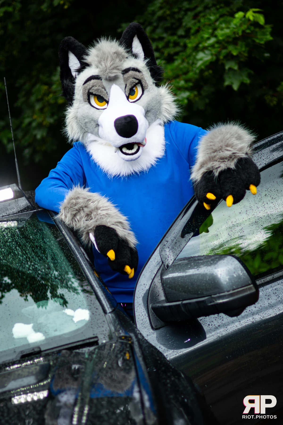 Ash Wuff — furry & pup photography by Fluffy Riot — photo 10