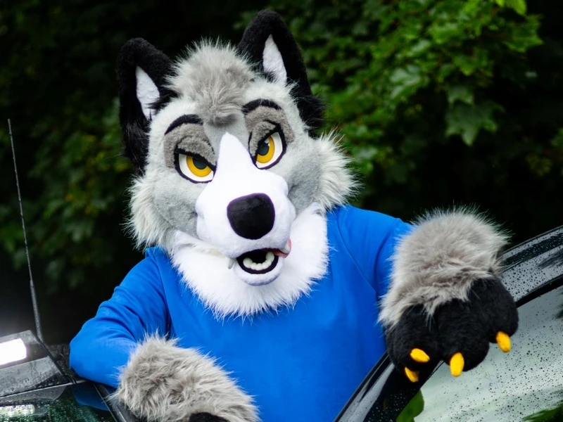 Ash Wuff