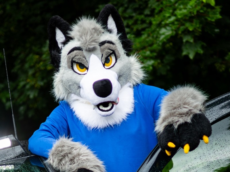 Ash Wuff