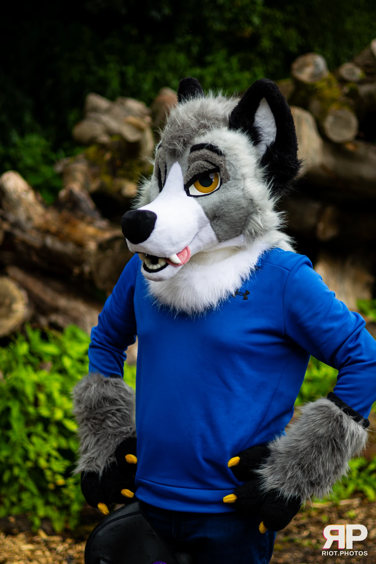 Ash Wuff — furry & pup photography by Fluffy Riot — photo 12
