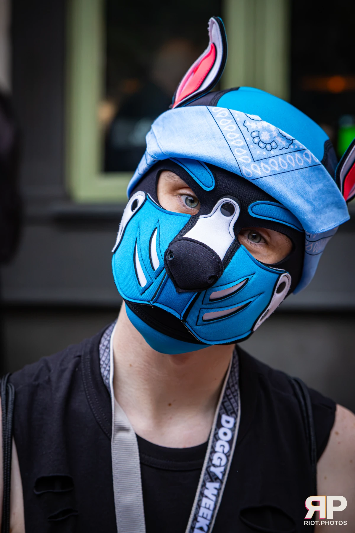 Doggy Weekend 2026 - 18 Oct 2026, Fluffy Riot photography - photo 803