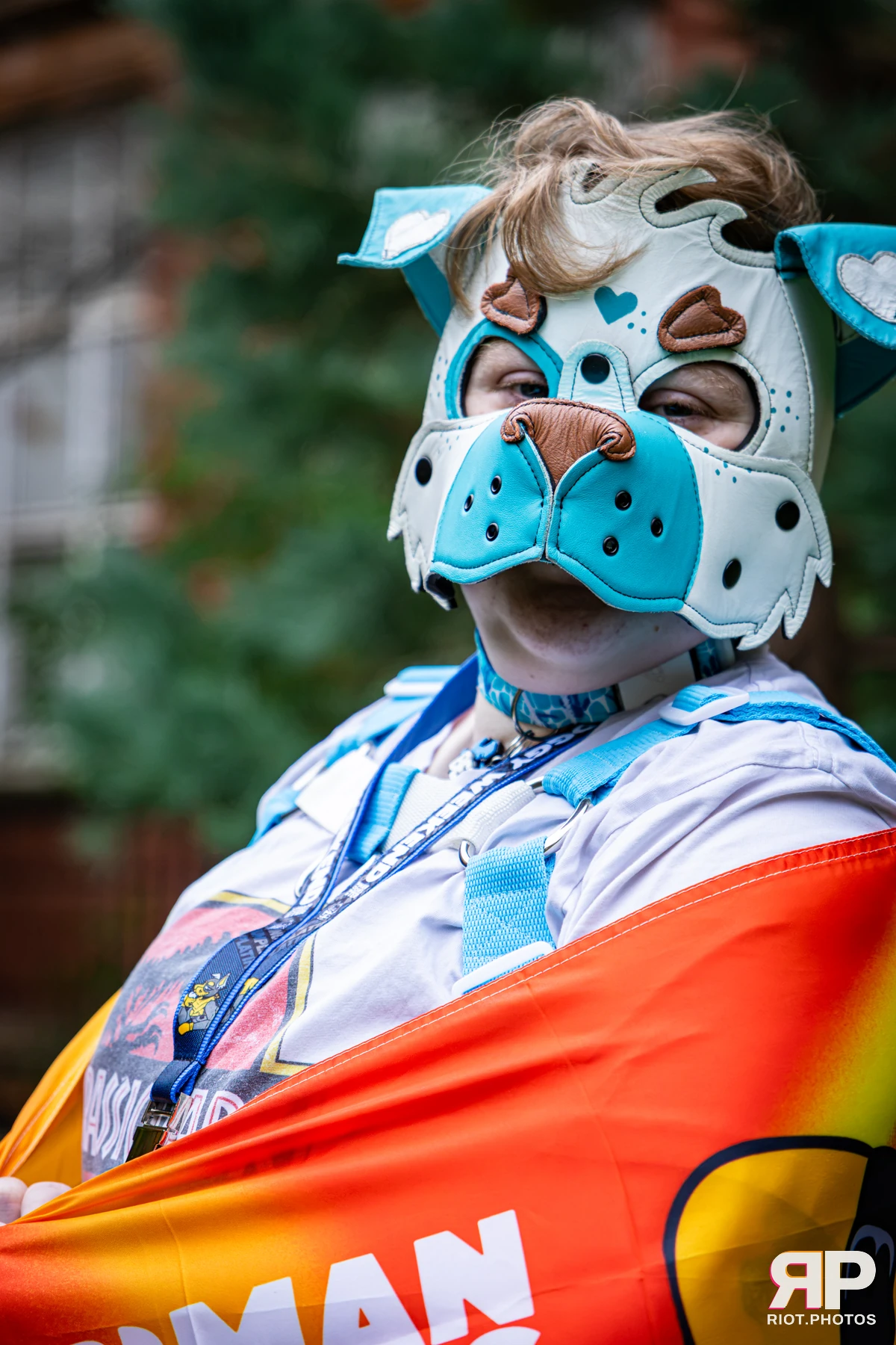 BeauBlue - furry & pup photography by Fluffy Riot - photo 2