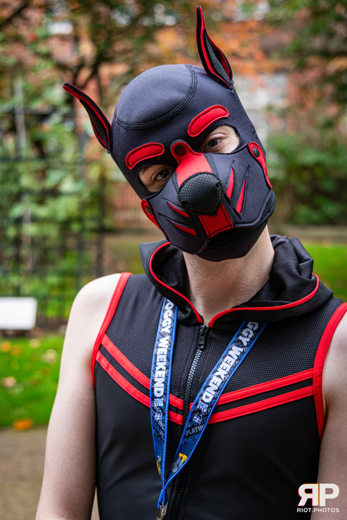 Bosie - furry & pup photography by Fluffy Riot - photo 5