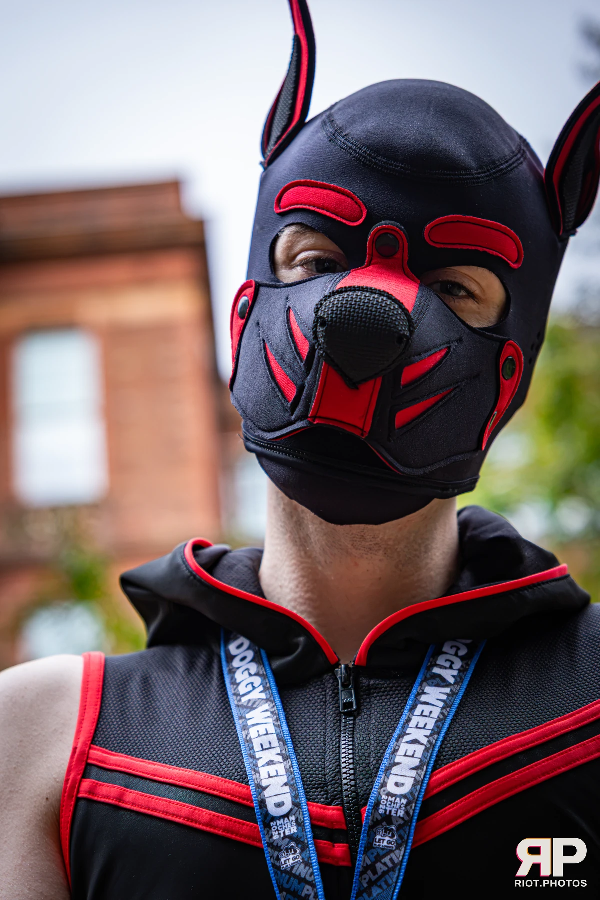 Bosie - furry & pup photography by Fluffy Riot - photo 4