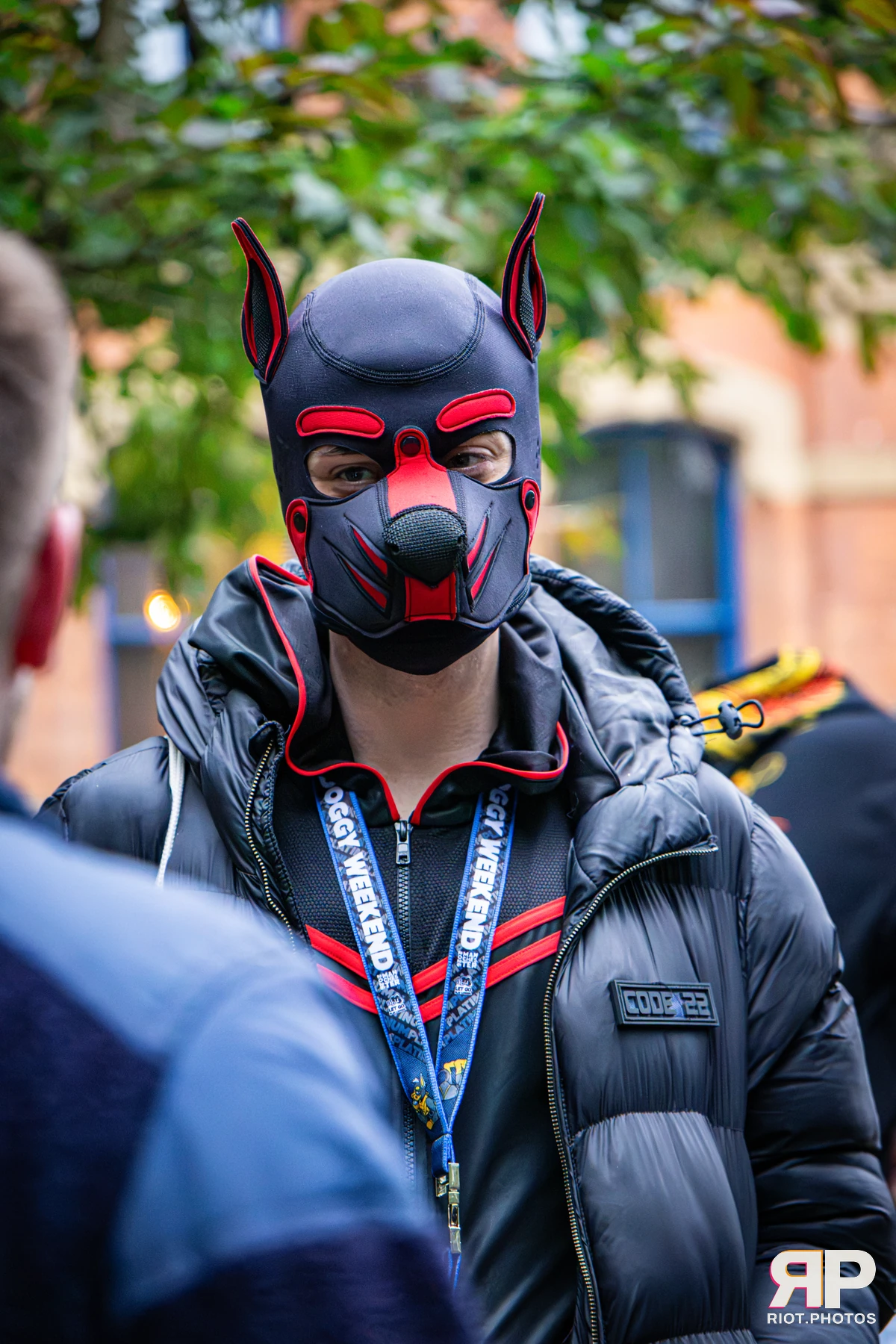 Bosie - furry & pup photography by Fluffy Riot - photo 3