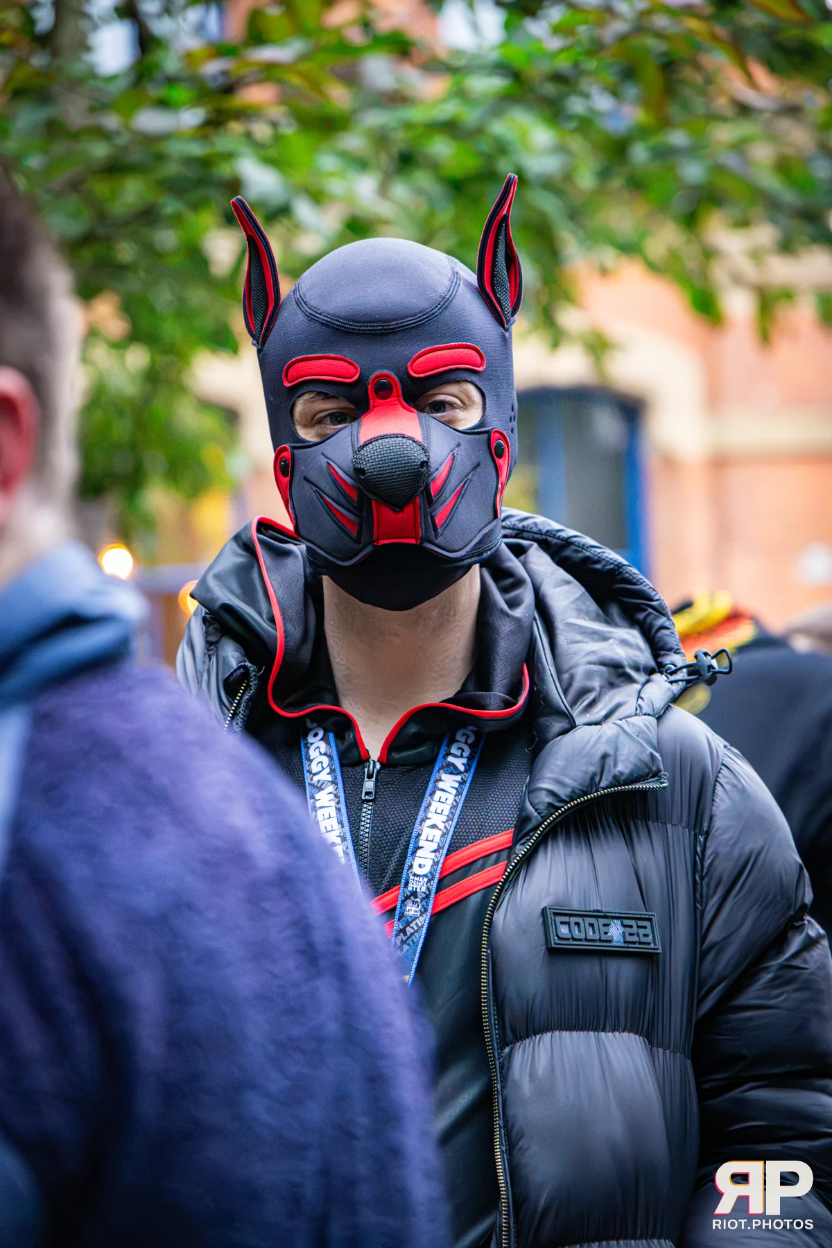 Bosie - furry & pup photography by Fluffy Riot - photo 2