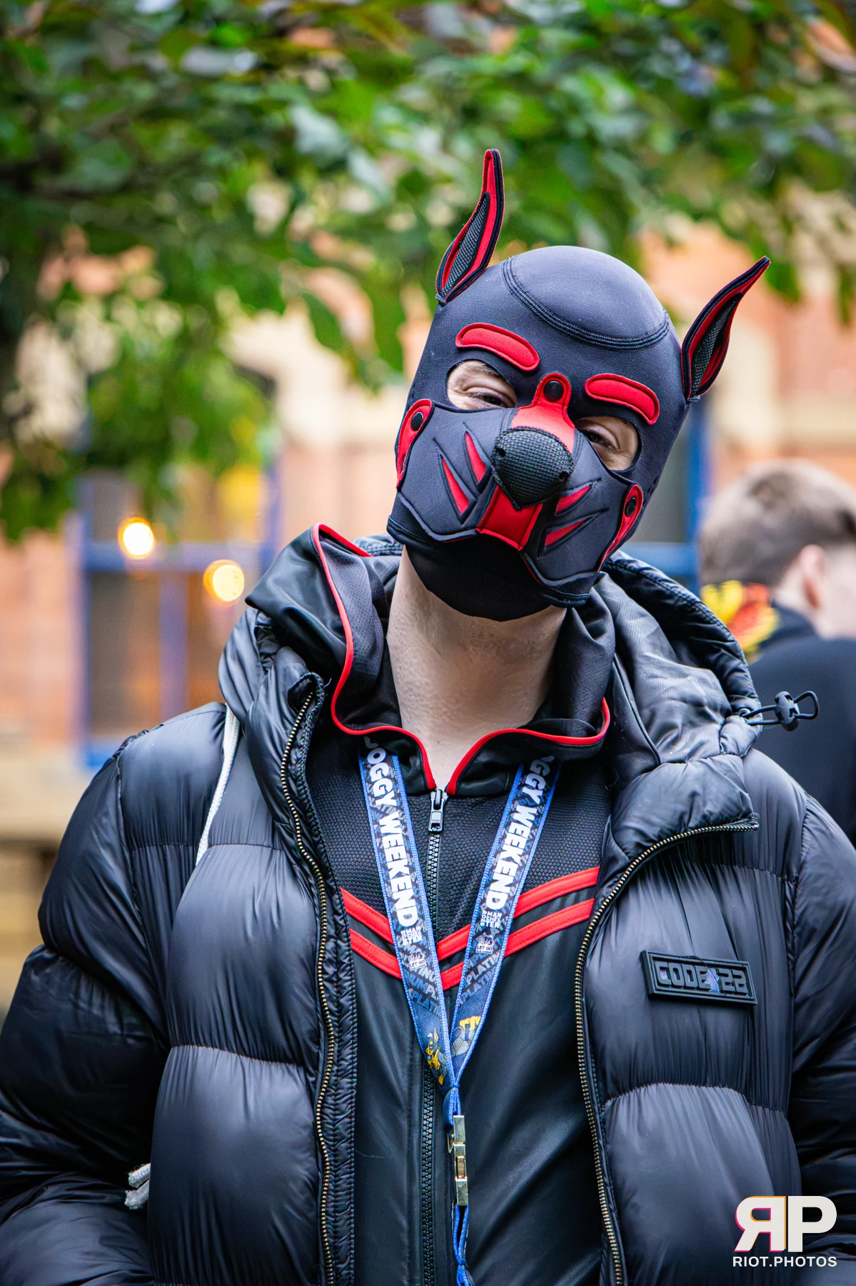 Bosie - furry & pup photography by Fluffy Riot - photo 1