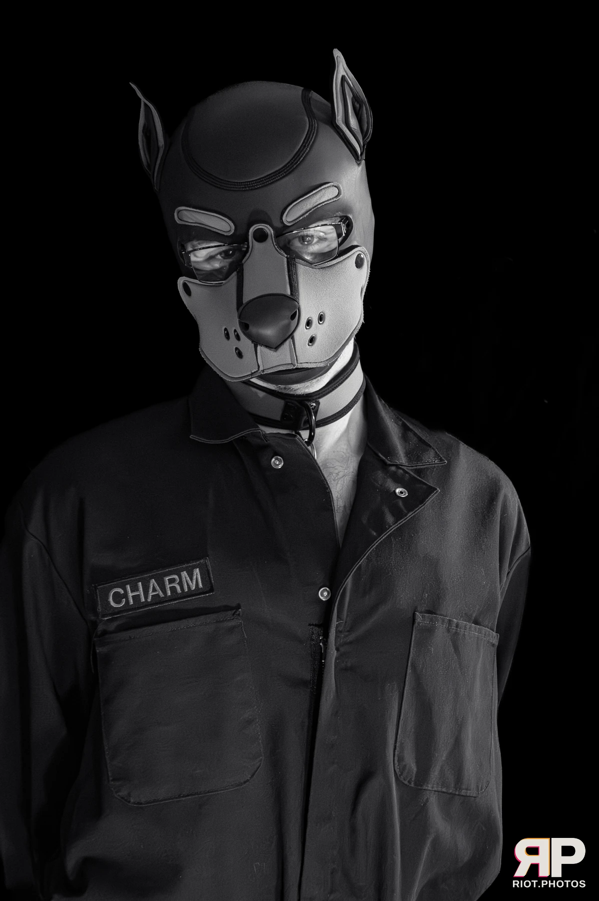 Charm — furry & pup photography by Fluffy Riot — photo 1
