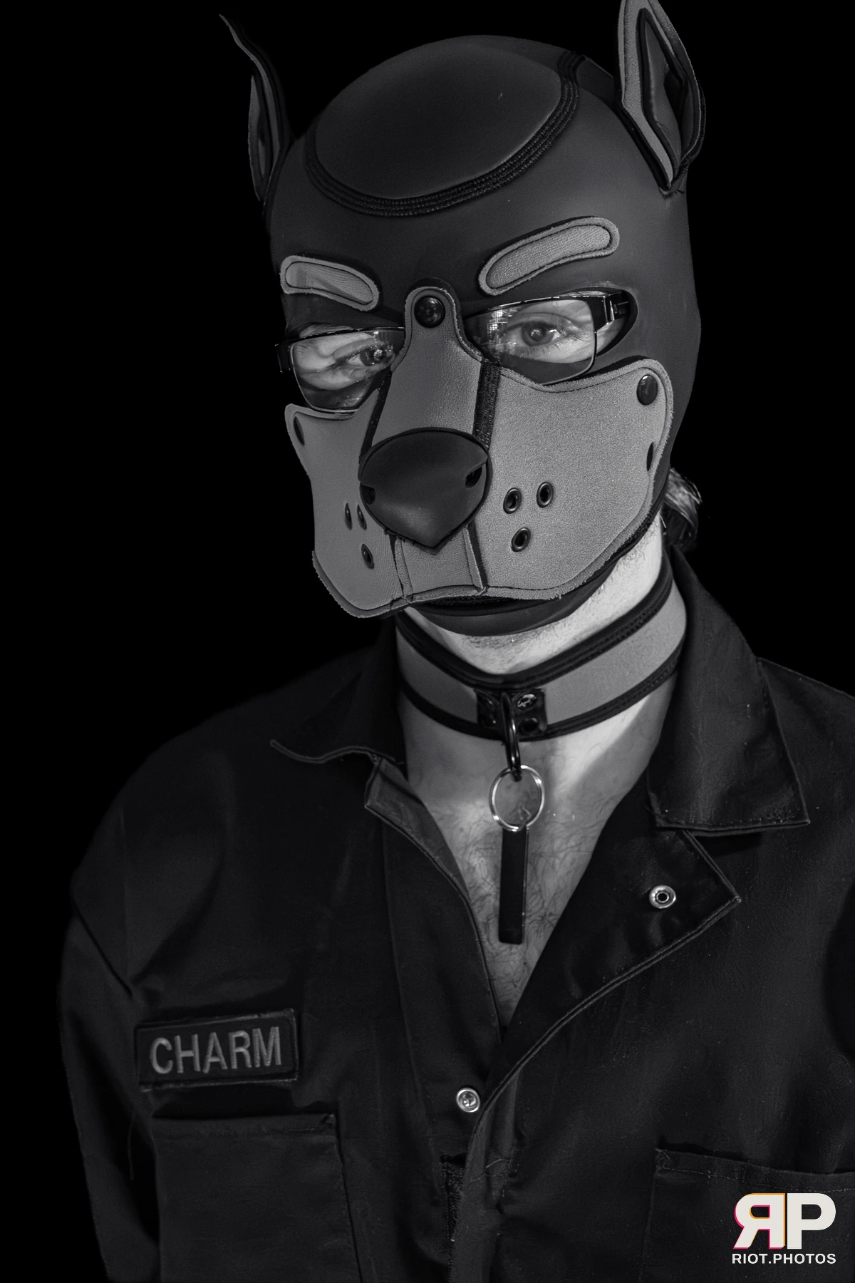 Charm — furry & pup photography by Fluffy Riot — photo 2