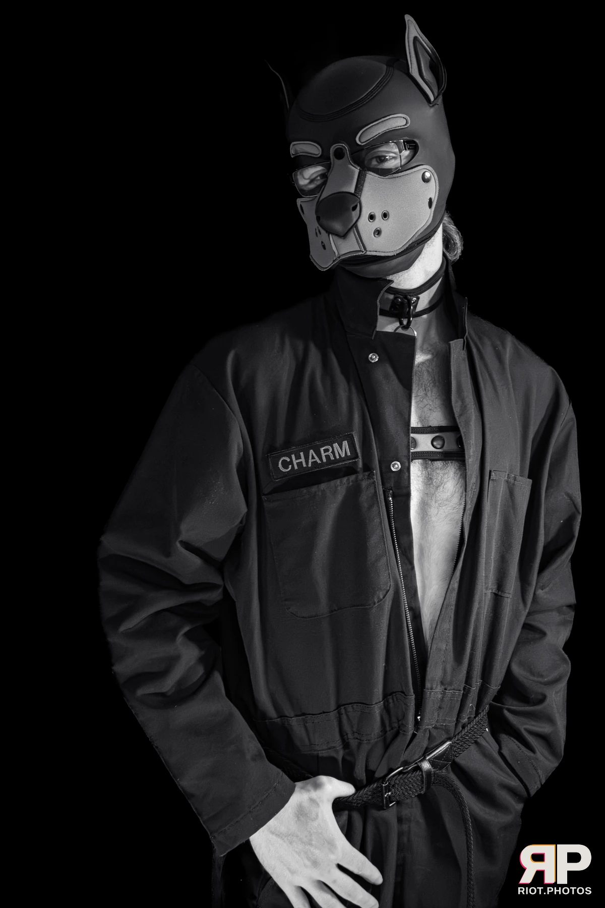 Charm — furry & pup photography by Fluffy Riot — photo 5