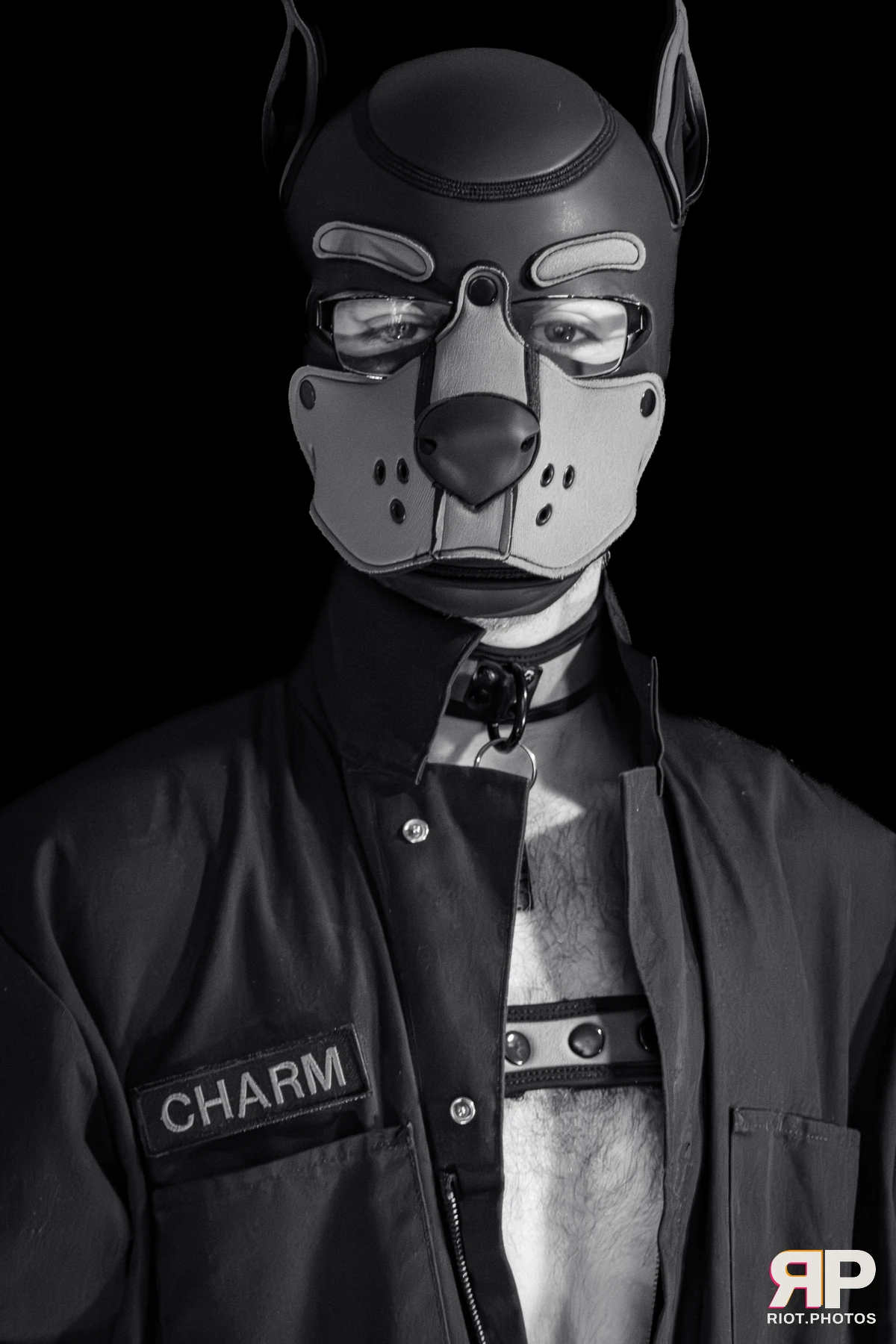 Charm — furry & pup photography by Fluffy Riot — photo 8