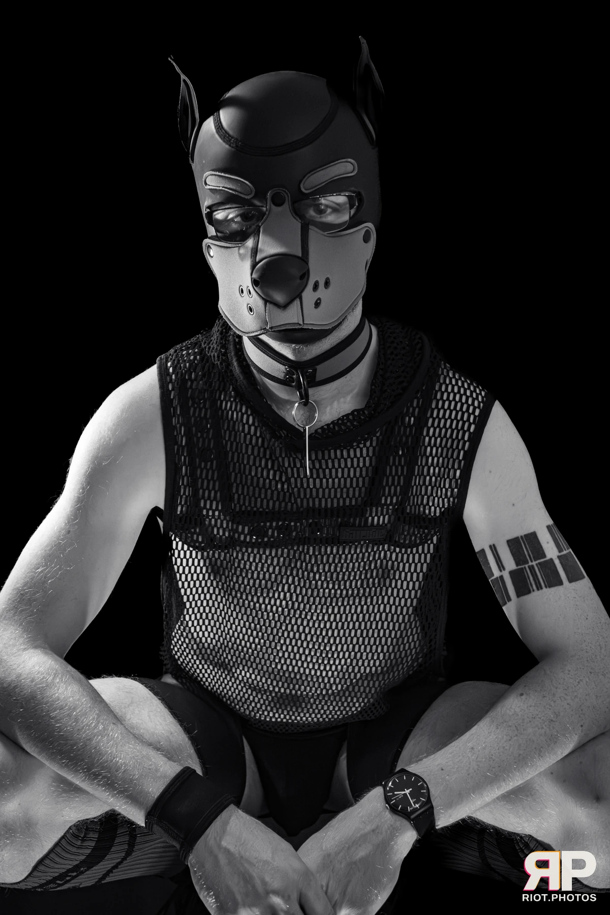 Charm — furry & pup photography by Fluffy Riot — photo 10