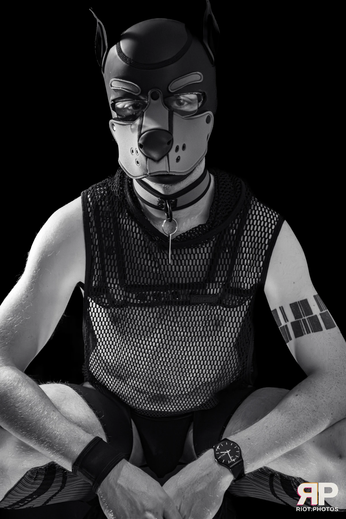 Charm — furry & pup photography by Fluffy Riot — photo 11