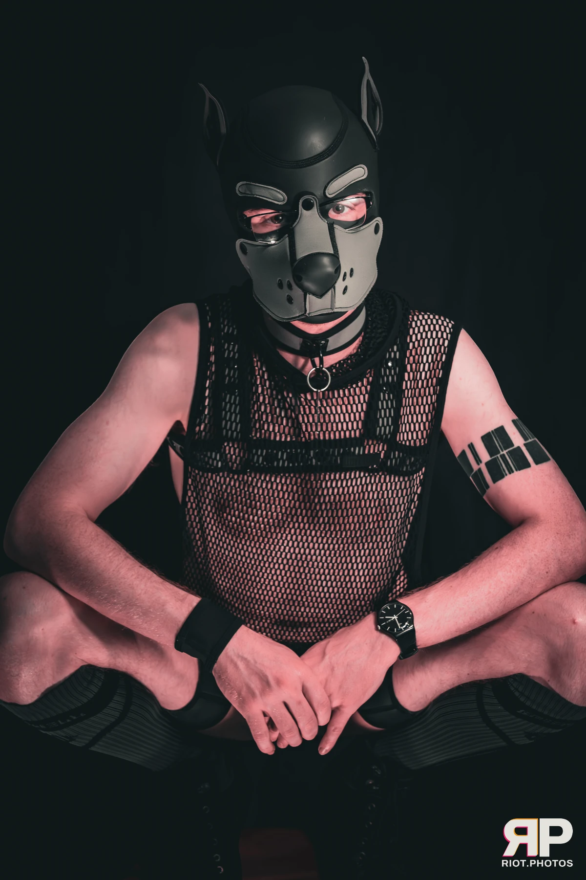 Charm — furry & pup photography by Fluffy Riot — photo 13
