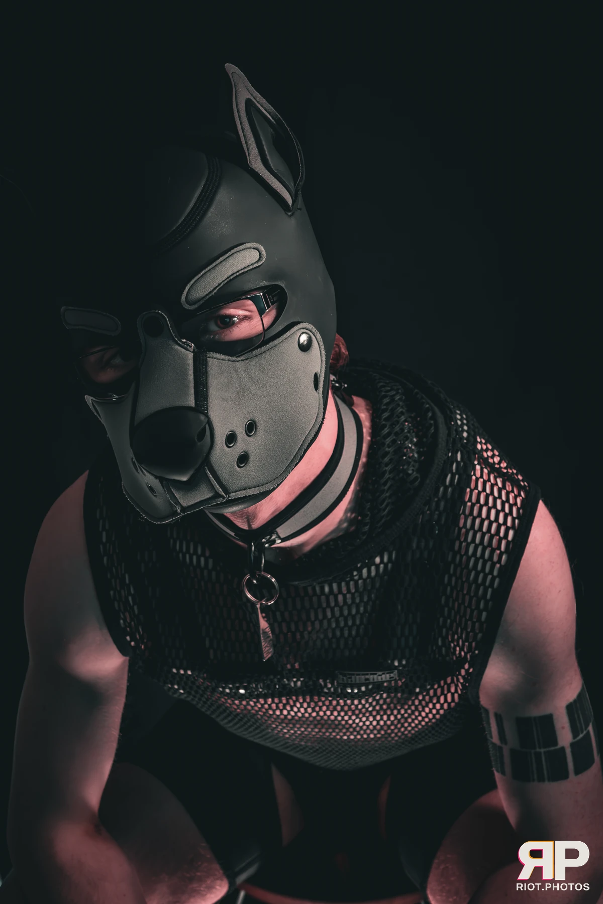 Charm — furry & pup photography by Fluffy Riot — photo 15