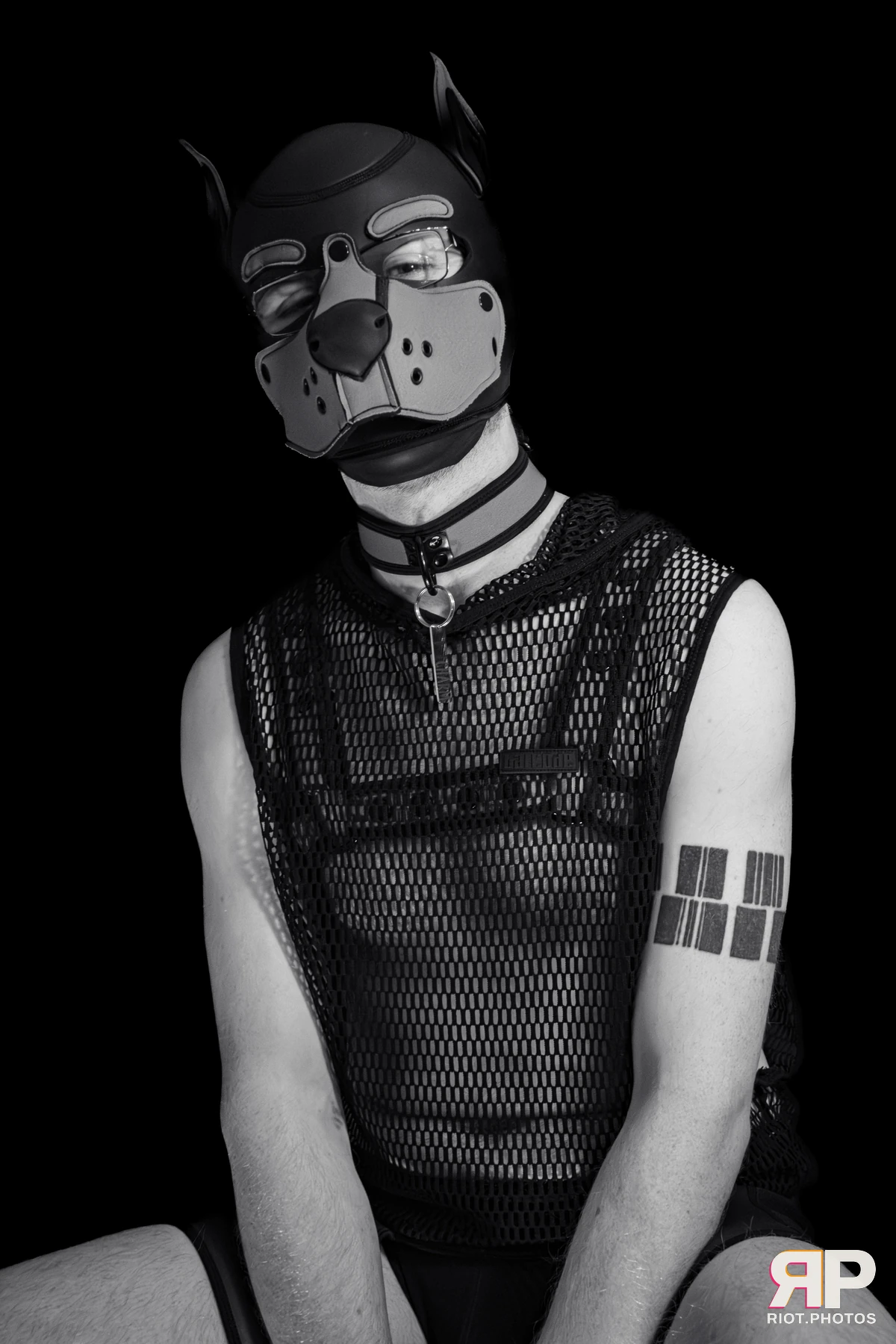 Charm — furry & pup photography by Fluffy Riot — photo 17
