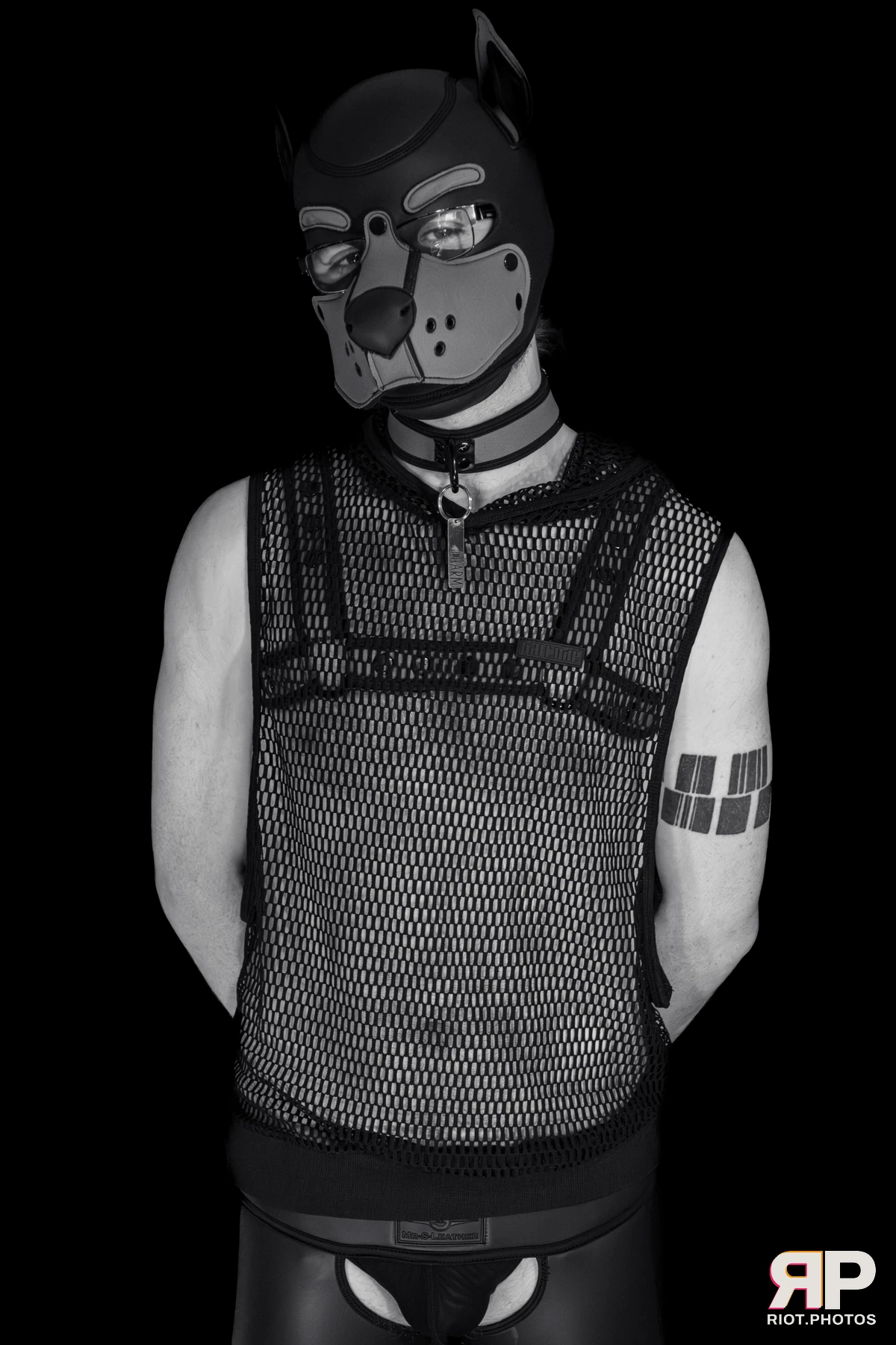 Charm — furry & pup photography by Fluffy Riot — photo 19