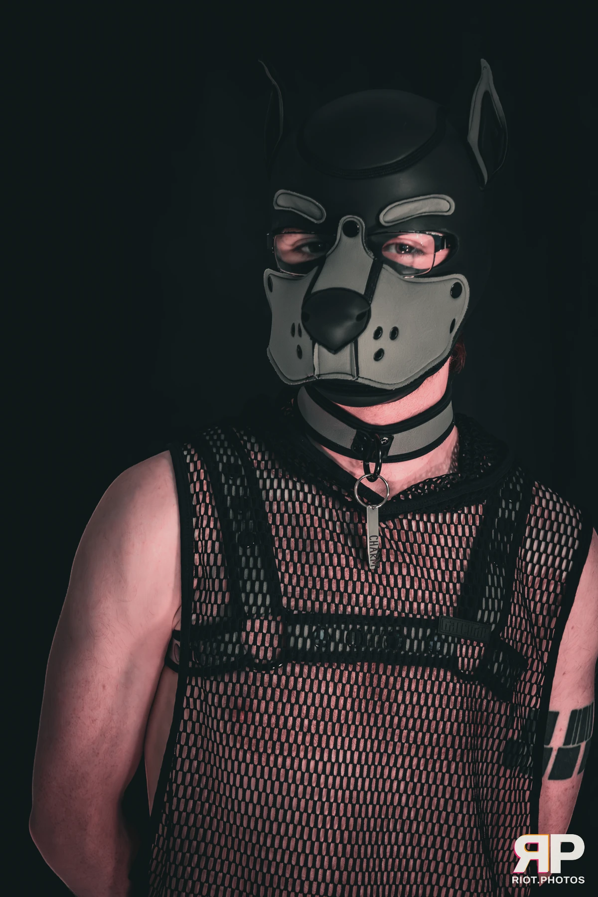 Charm — furry & pup photography by Fluffy Riot — photo 22