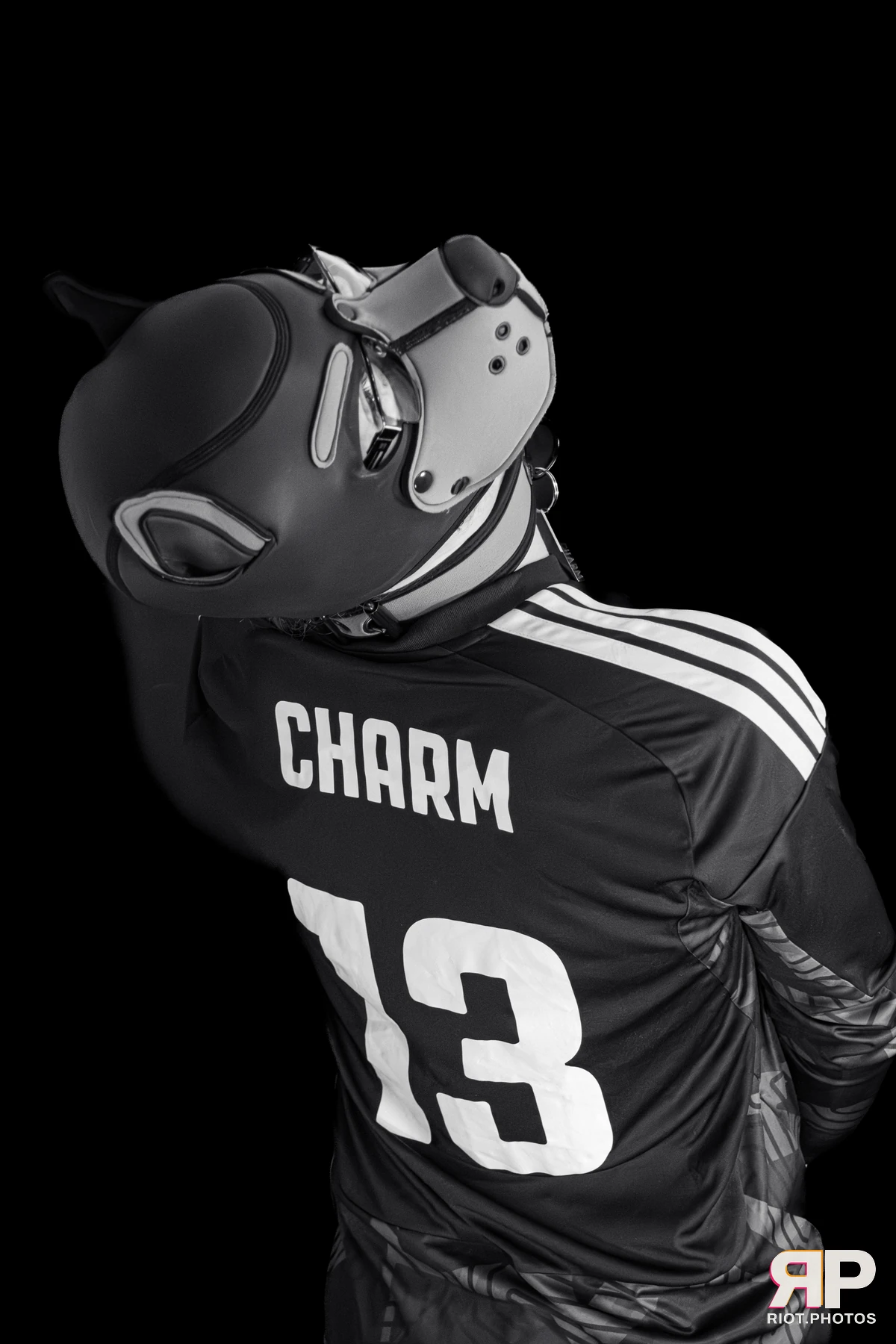 Charm — furry & pup photography by Fluffy Riot — photo 25