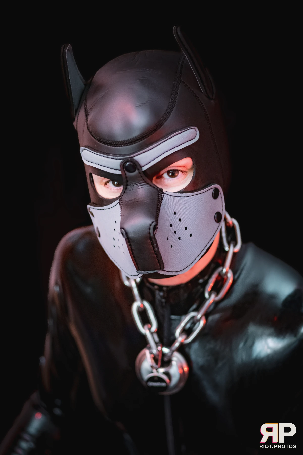 CheshireGrown — furry & pup photography by Fluffy Riot — photo 1