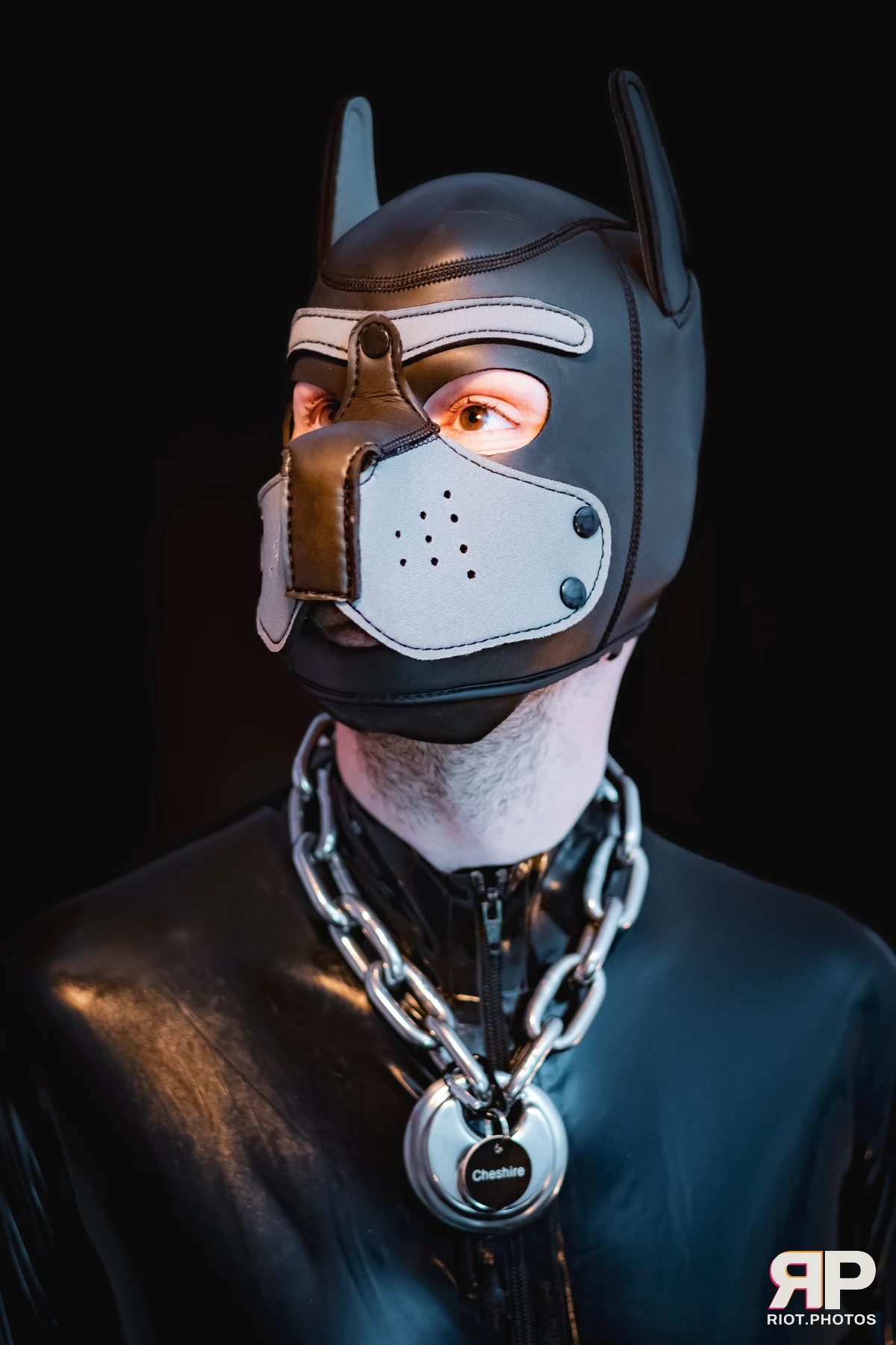 CheshireGrown — furry & pup photography by Fluffy Riot — photo 3