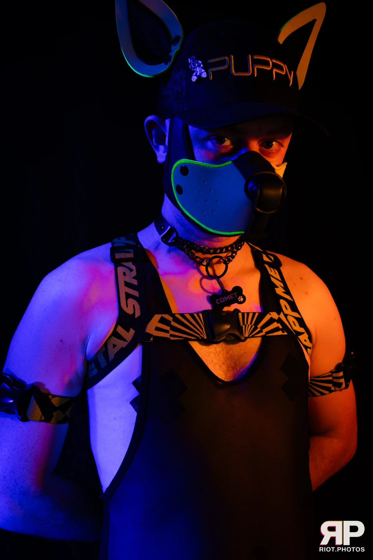 Comet Fyre — furry & pup photography by Fluffy Riot — photo 3