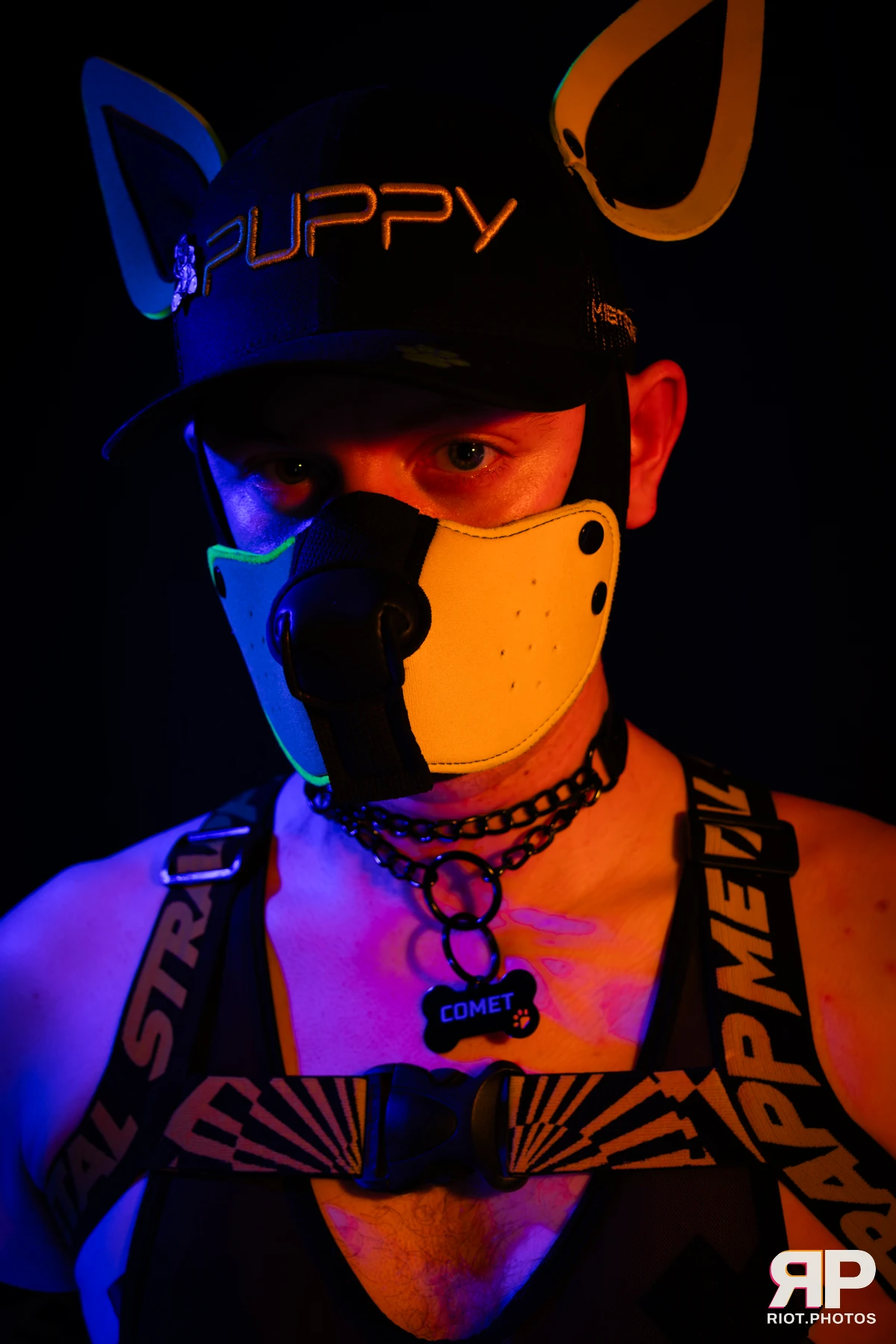 Comet Fyre — furry & pup photography by Fluffy Riot — photo 6