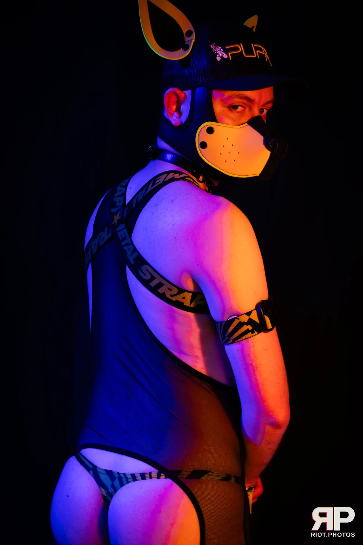 Comet Fyre — furry & pup photography by Fluffy Riot — photo 13