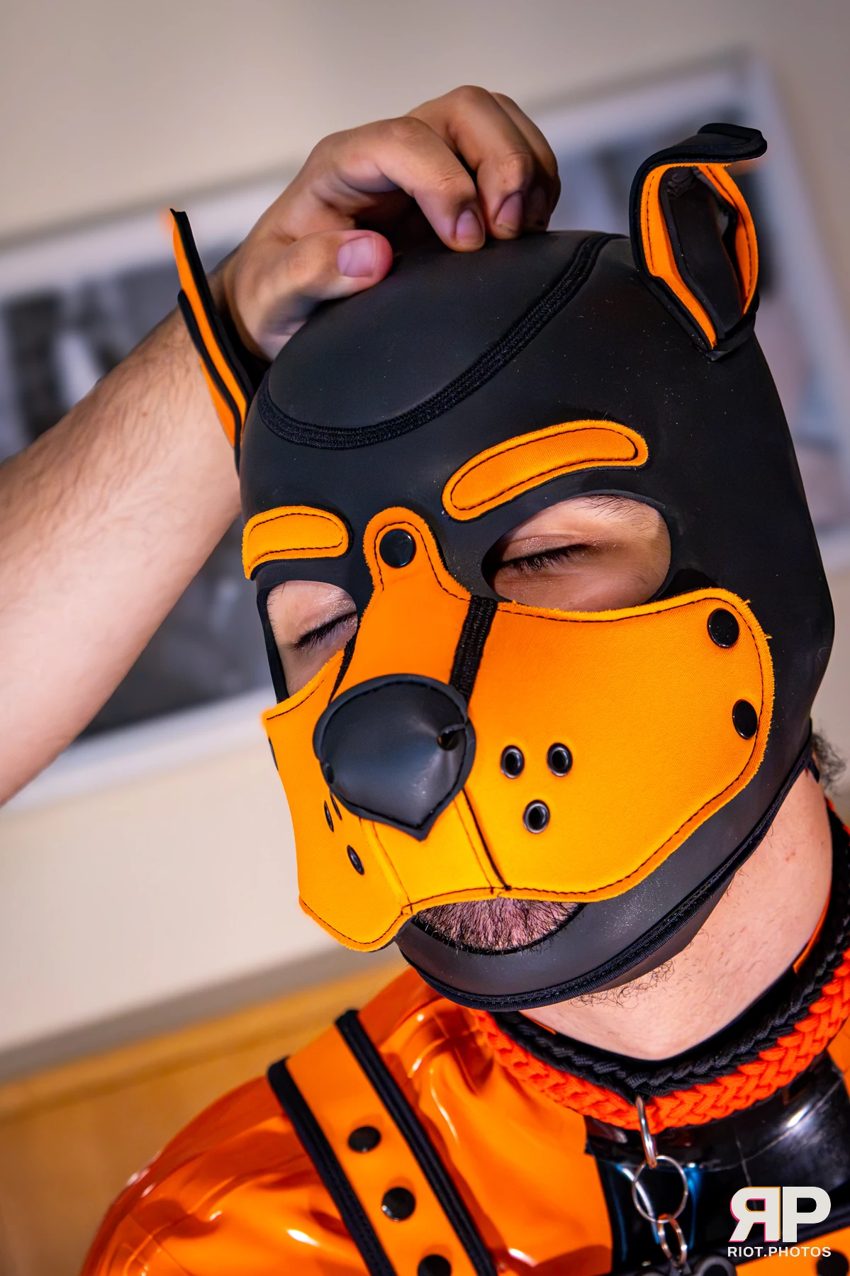Crypto - furry & pup photography by Fluffy Riot - photo 18