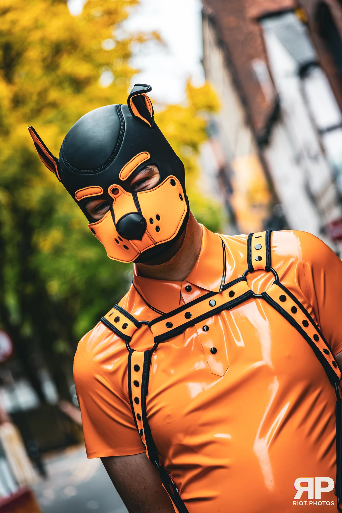 Crypto - furry & pup photography by Fluffy Riot - photo 14