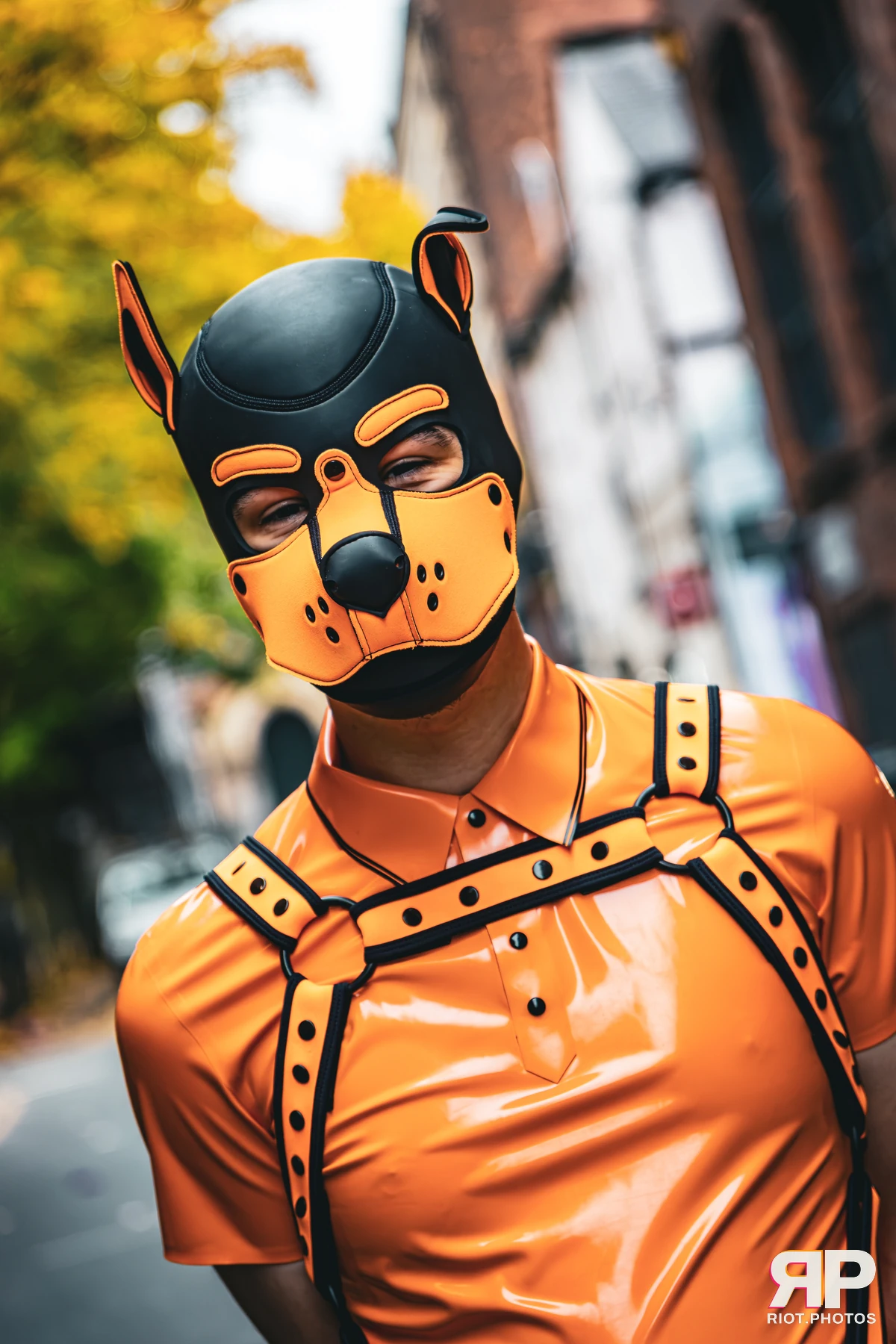 Crypto - furry & pup photography by Fluffy Riot - photo 11