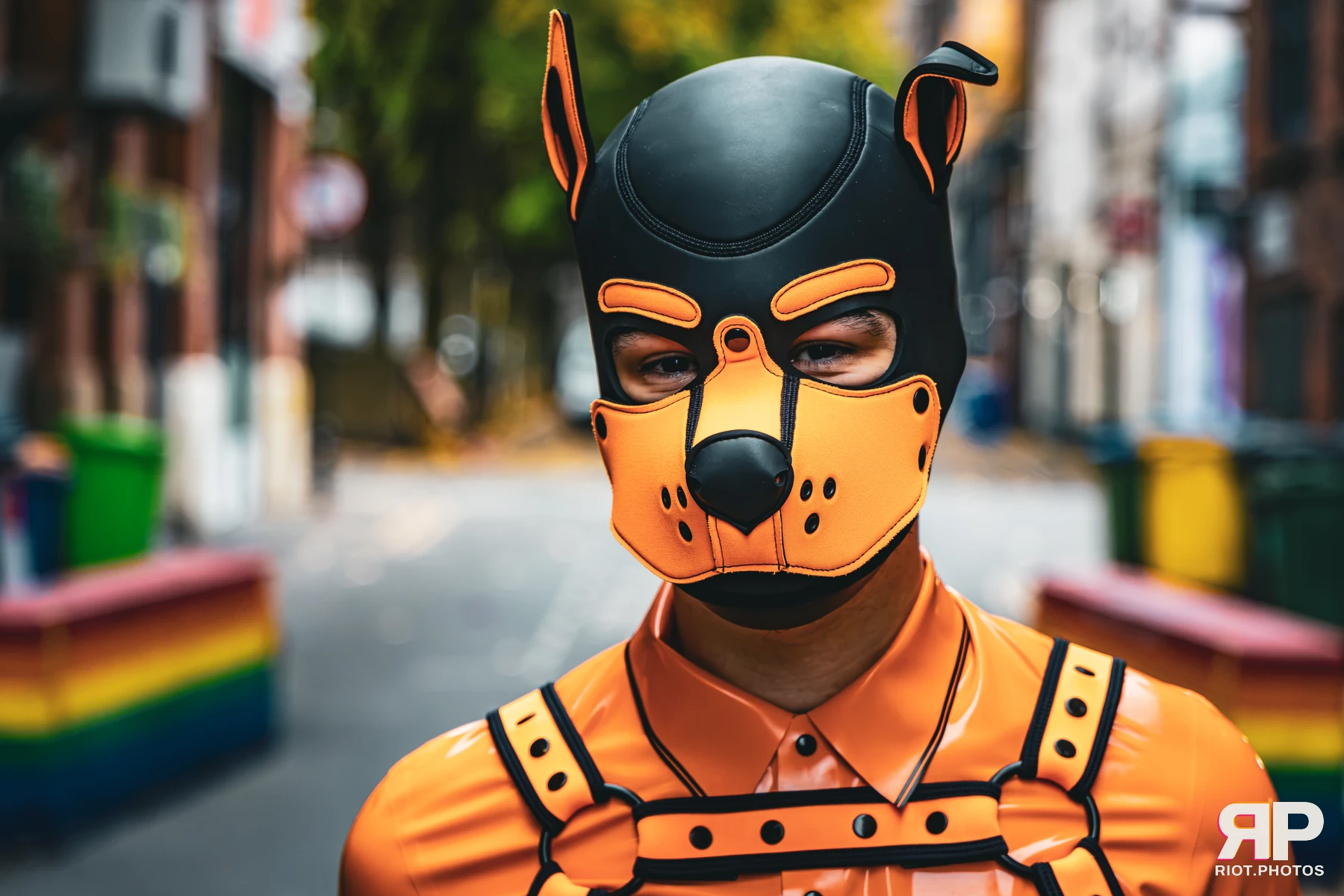 Crypto - furry & pup photography by Fluffy Riot - photo 9