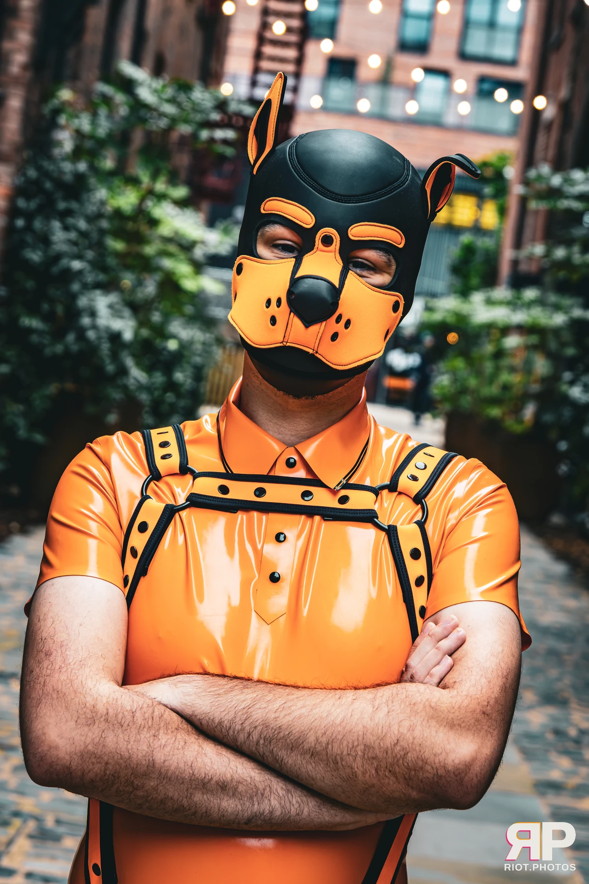 Crypto - furry & pup photography by Fluffy Riot - photo 8
