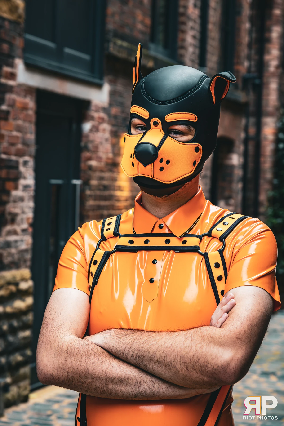 Crypto - furry & pup photography by Fluffy Riot - photo 7