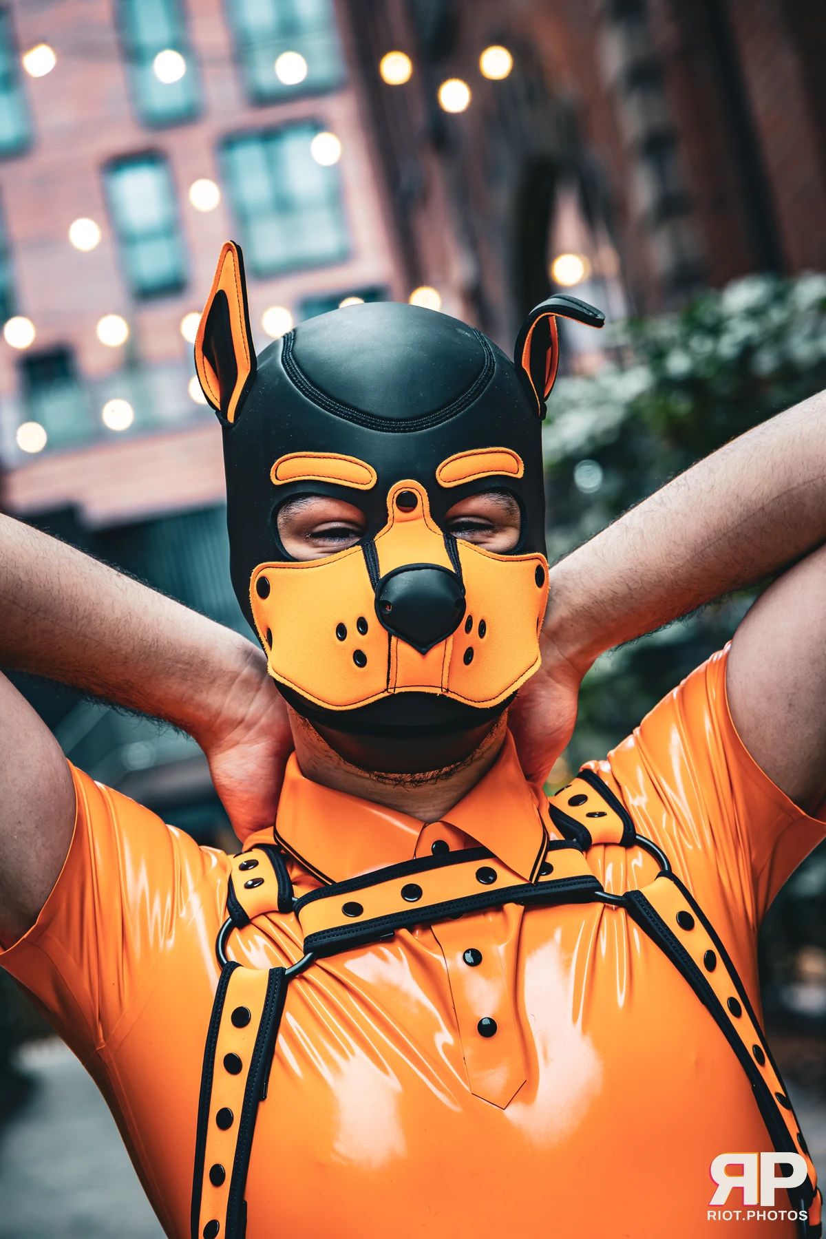 Crypto - furry & pup photography by Fluffy Riot - photo 6