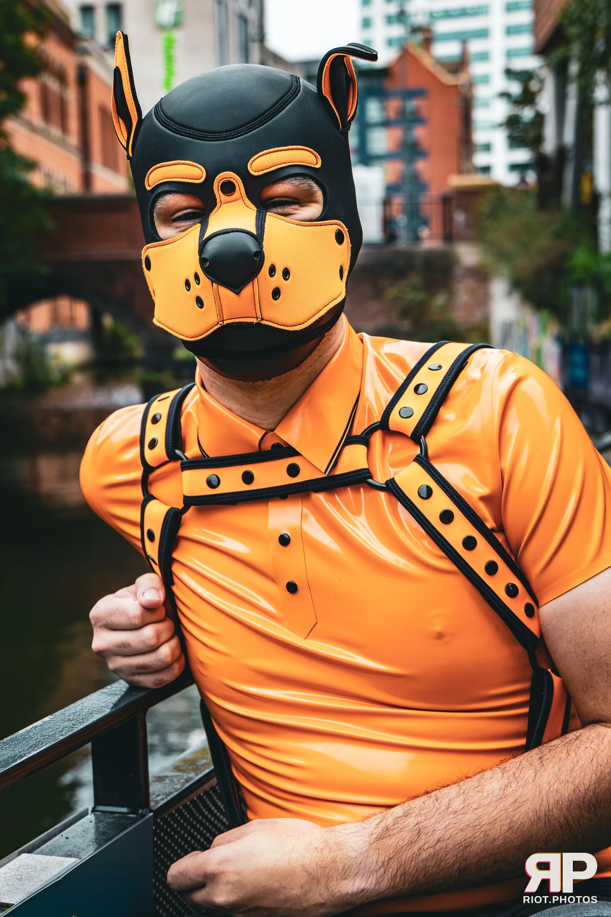Crypto - furry & pup photography by Fluffy Riot - photo 5