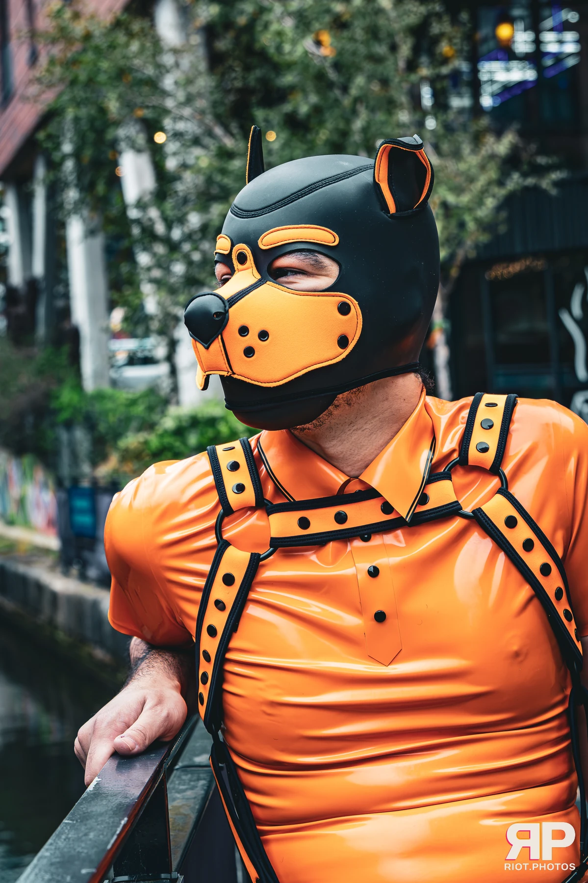 Crypto - furry & pup photography by Fluffy Riot - photo 4
