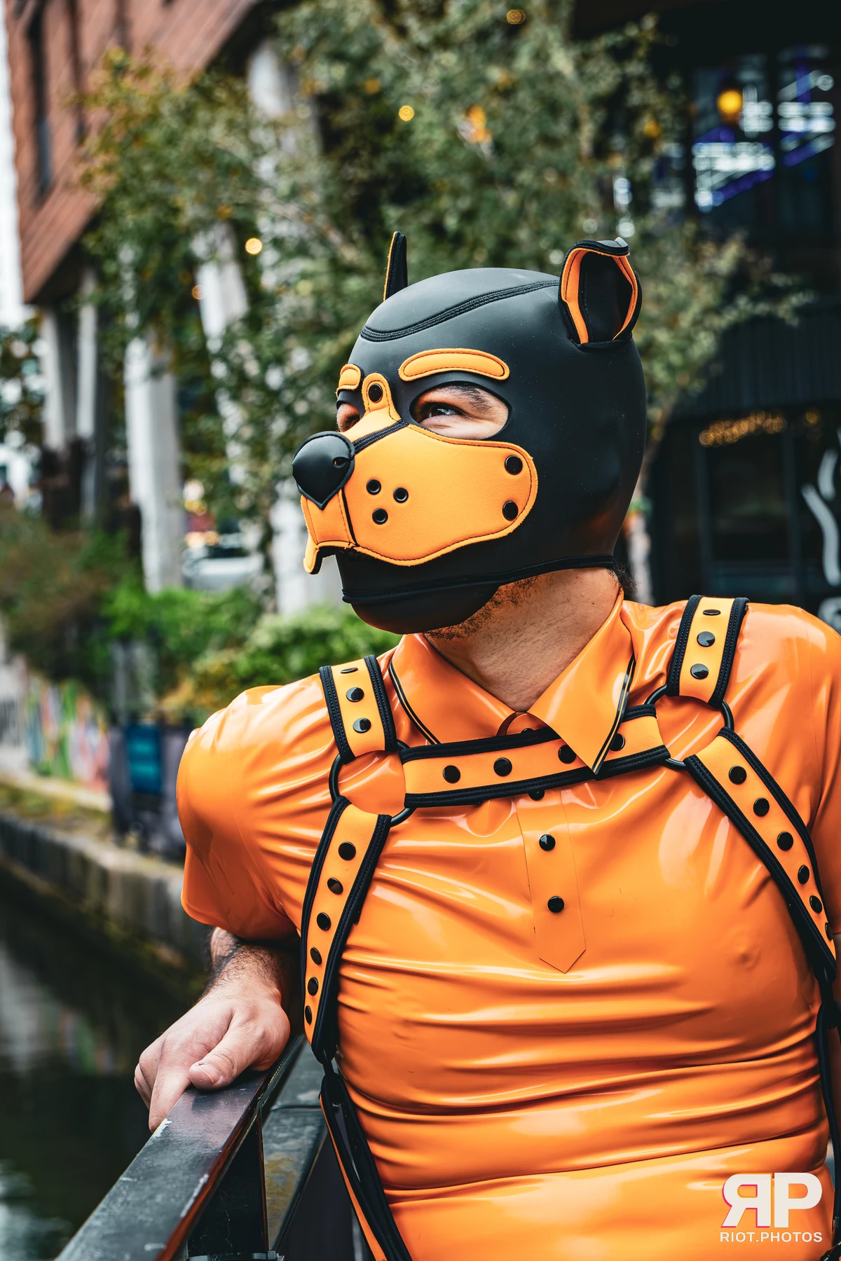 Crypto - furry & pup photography by Fluffy Riot - photo 3