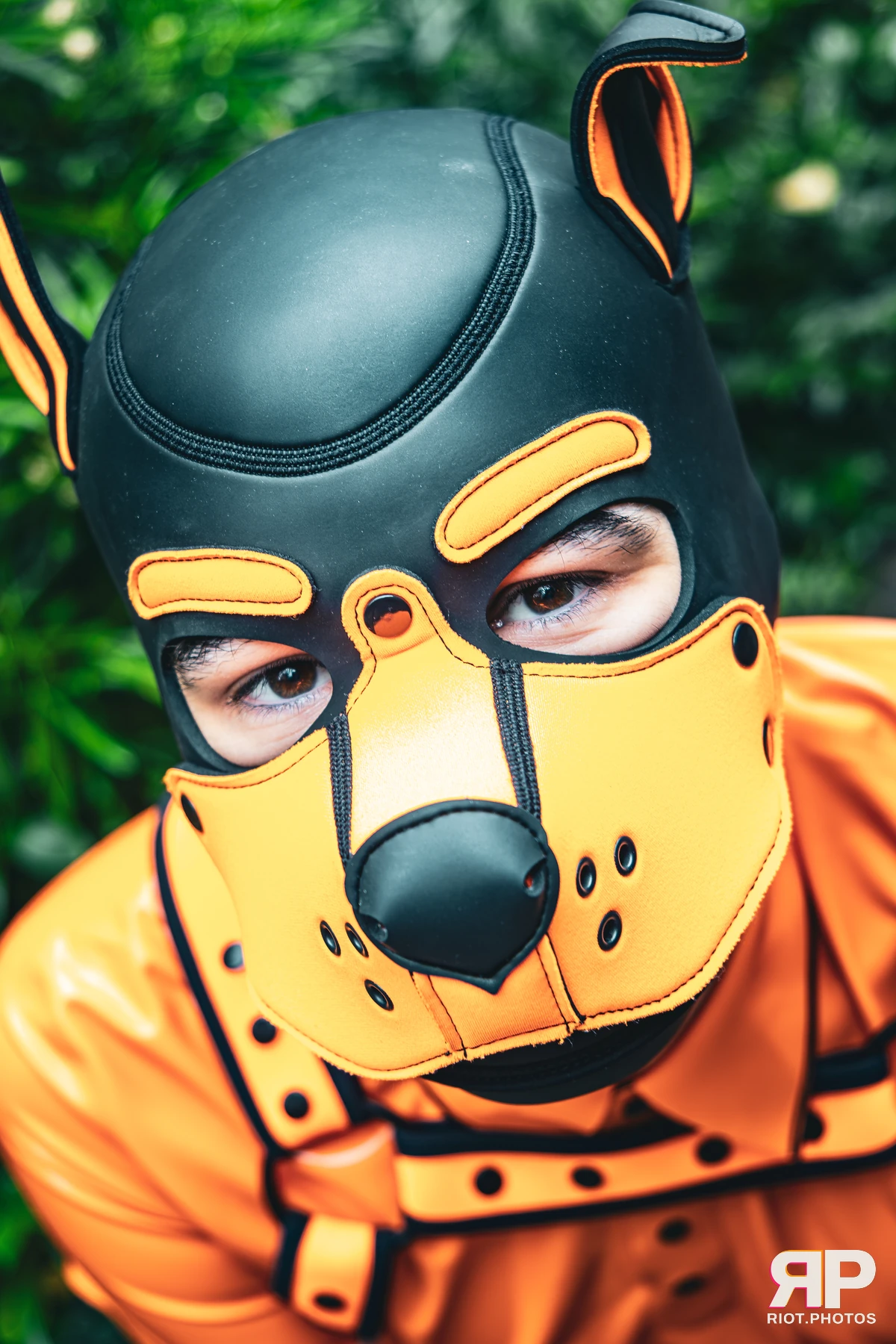 Crypto - furry & pup photography by Fluffy Riot - photo 2