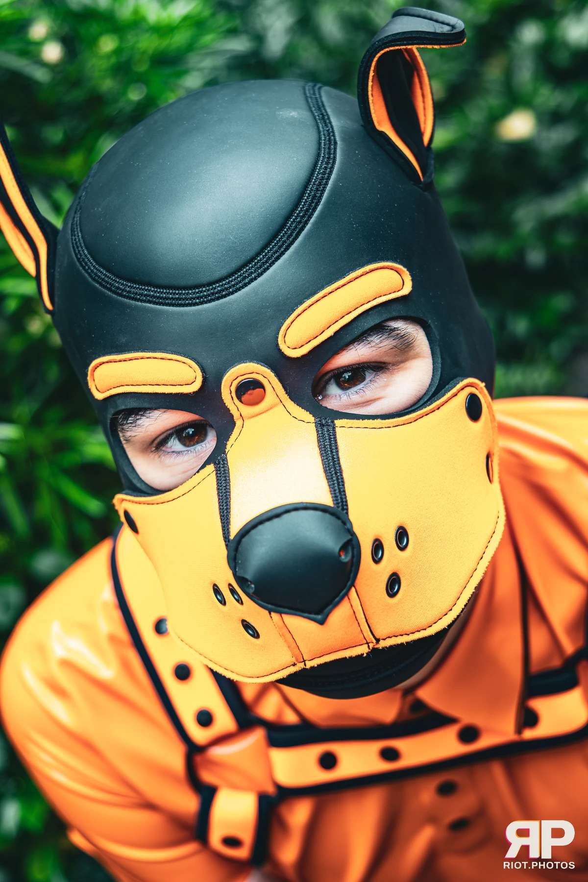 Crypto - furry & pup photography by Fluffy Riot - photo 1