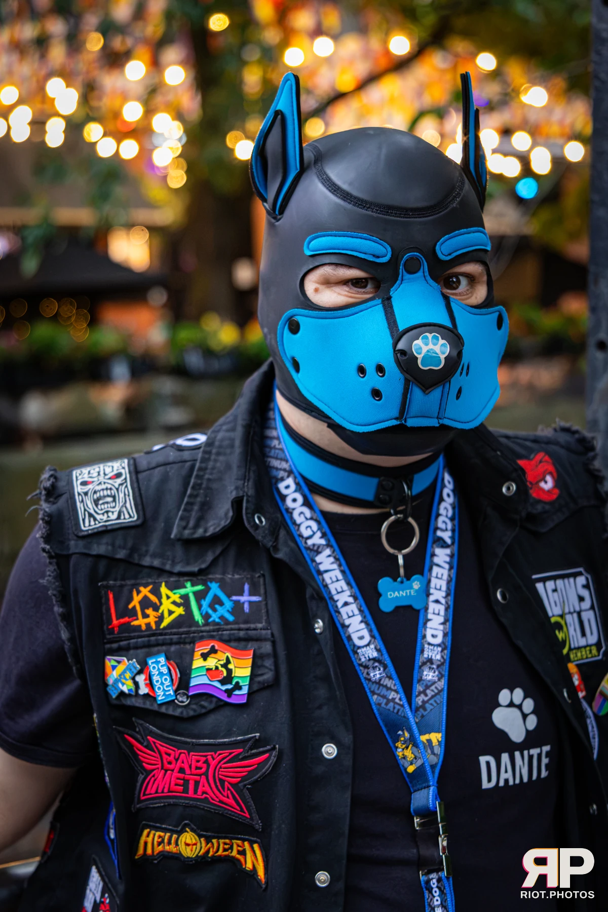 Dante - furry & pup photography by Fluffy Riot - photo 9