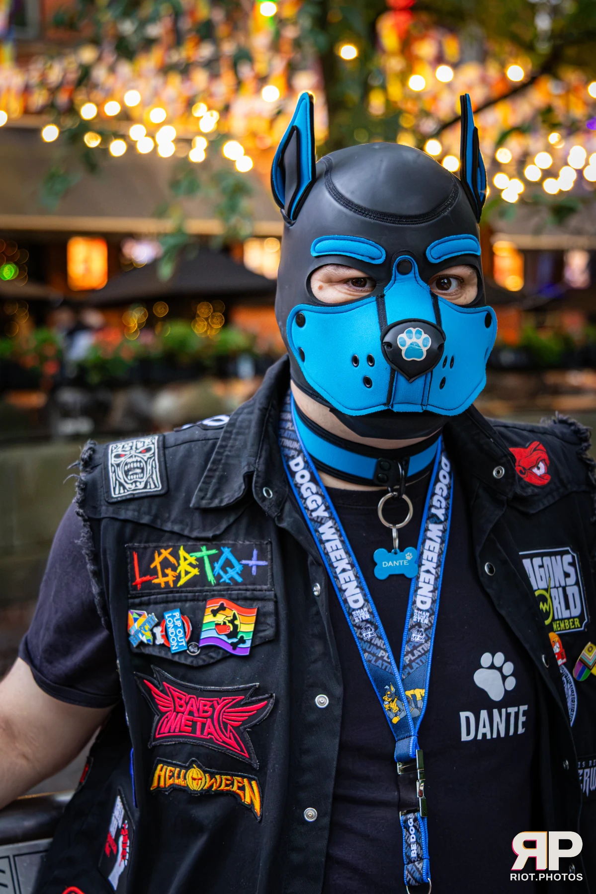 Dante - furry & pup photography by Fluffy Riot - photo 8