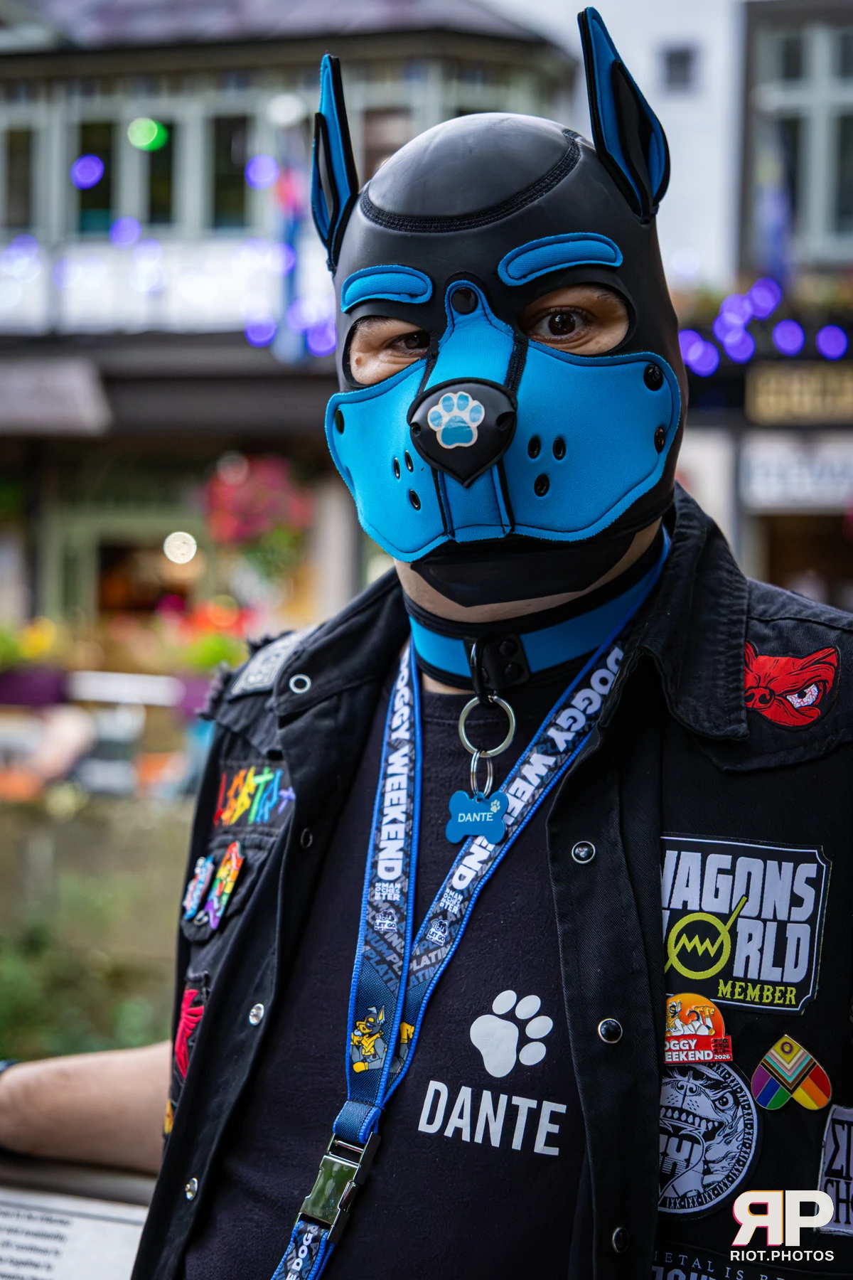 Dante - furry & pup photography by Fluffy Riot - photo 6